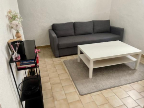 appartement chaleureux ecuson